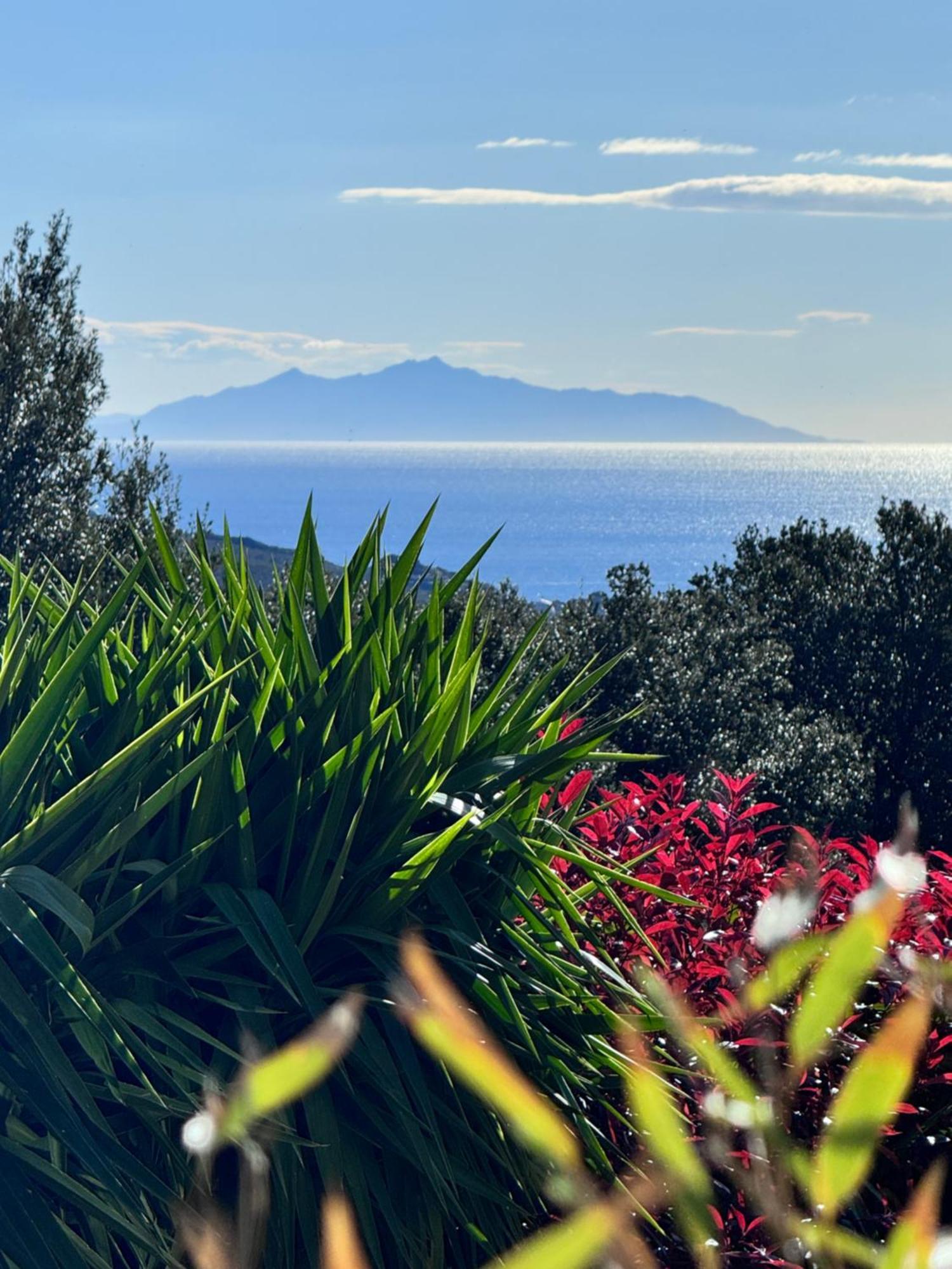 Gite Independant Dans Villa Entre Mer Et Maquis Sisco Exterior photo